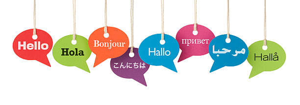 Offering Language Translation and Localization Services