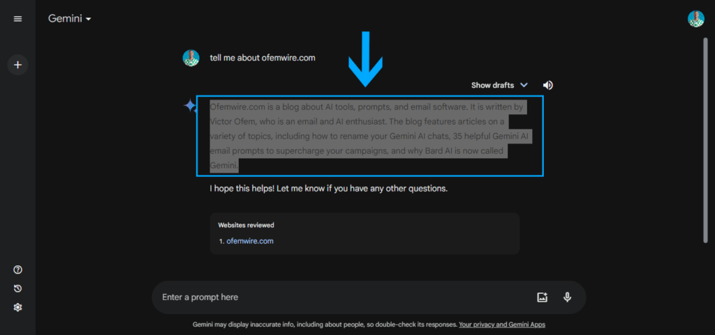 How To Copy Responses In Gemini AI