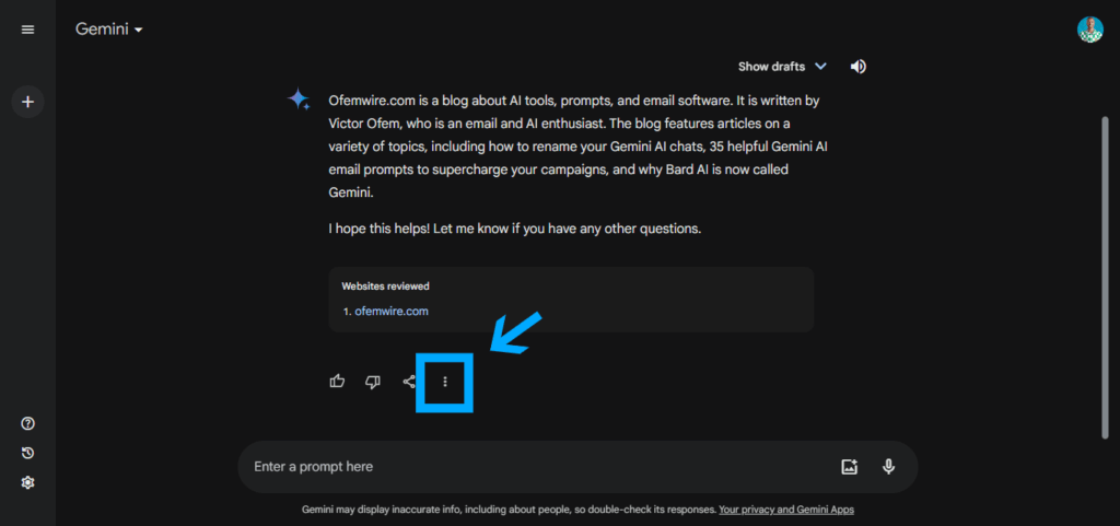 How To Copy Responses In Gemini AI